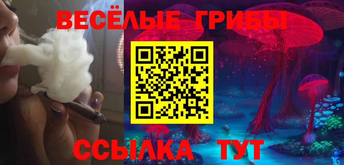 Комсомольск-на-Амуре  Галлюциногенные грибы GOLDEN TEACHER  Вход с VPN 